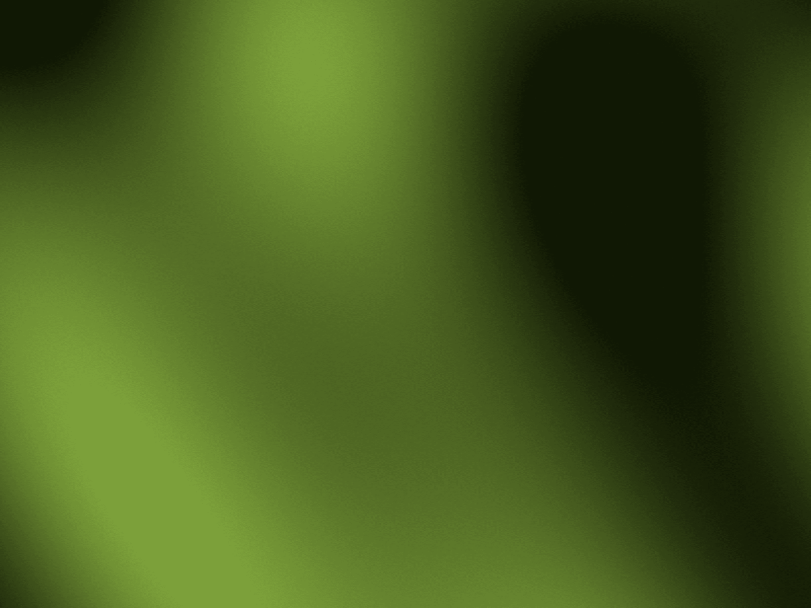 Terra Organics — cover