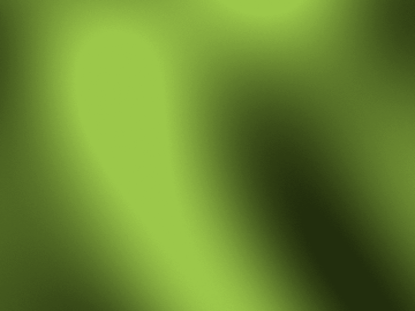 Terra Organics — 4